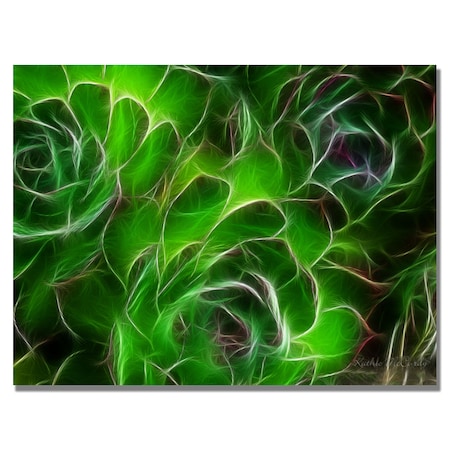 Kathie McCurdy 'Hens And Chicks' Canvas Art,18x24